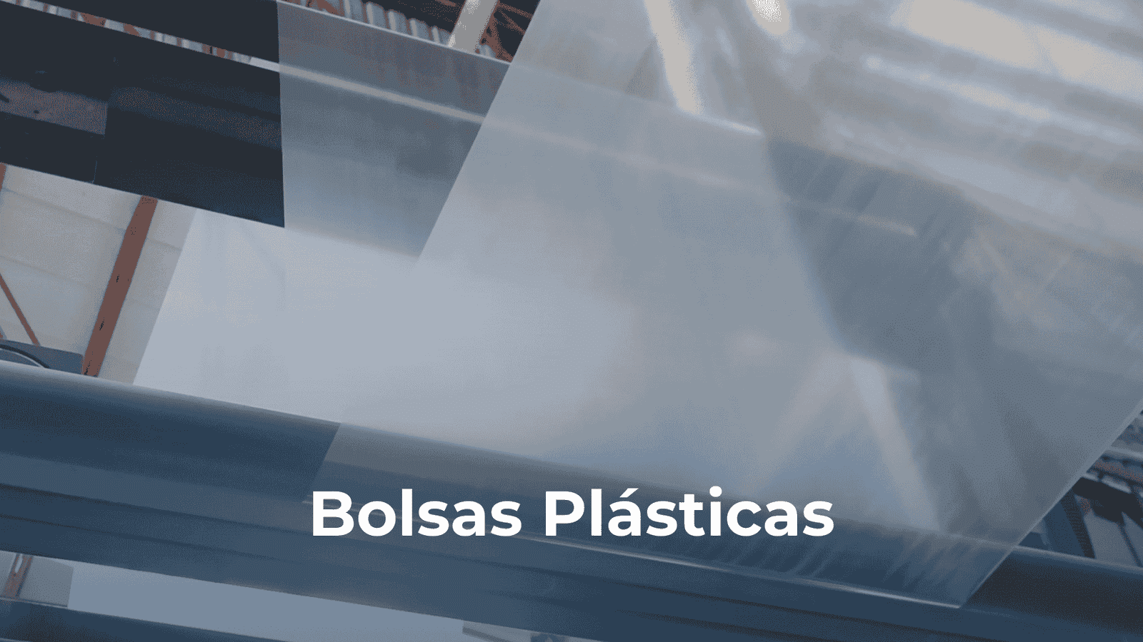 Bolsas