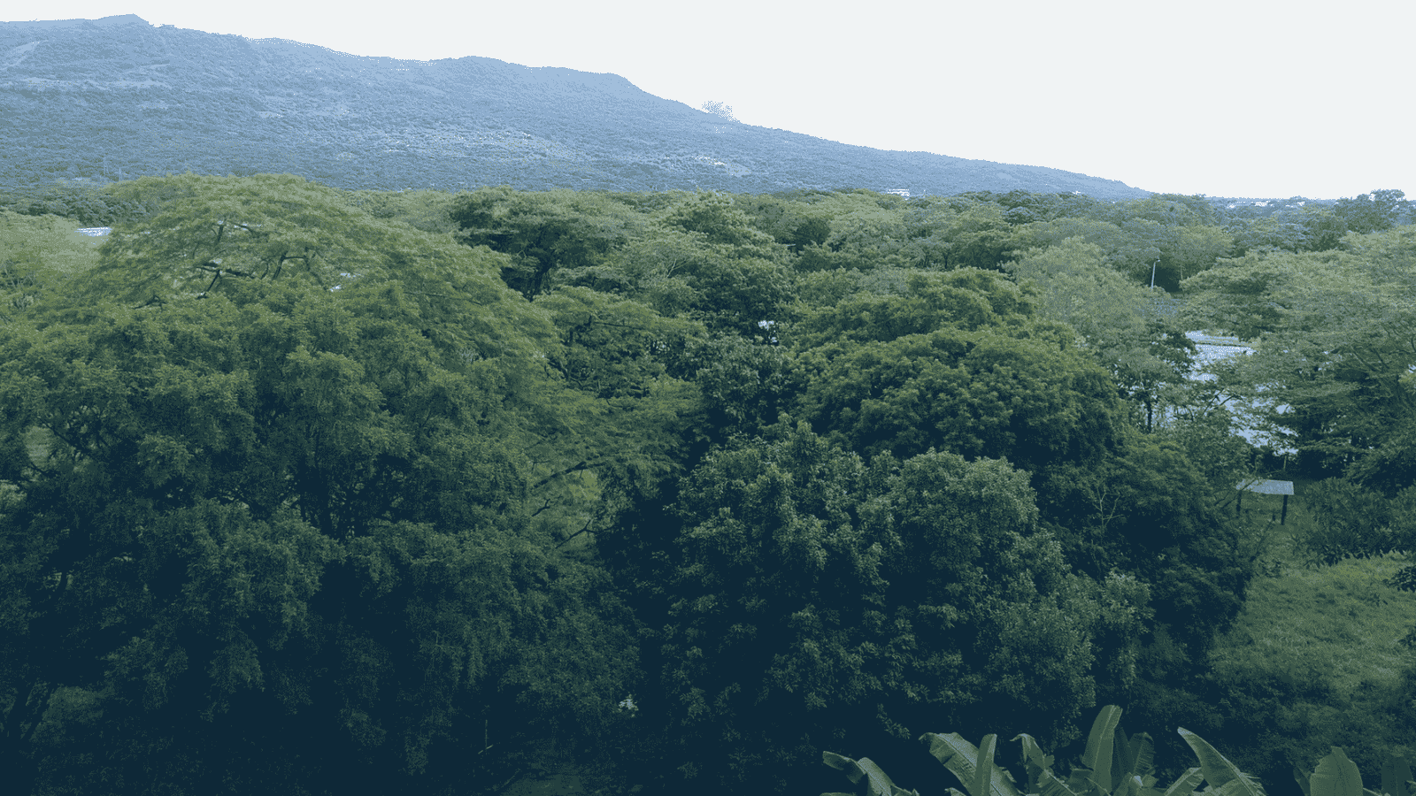 Producción y cambio climático-Inversiones AGA (1)